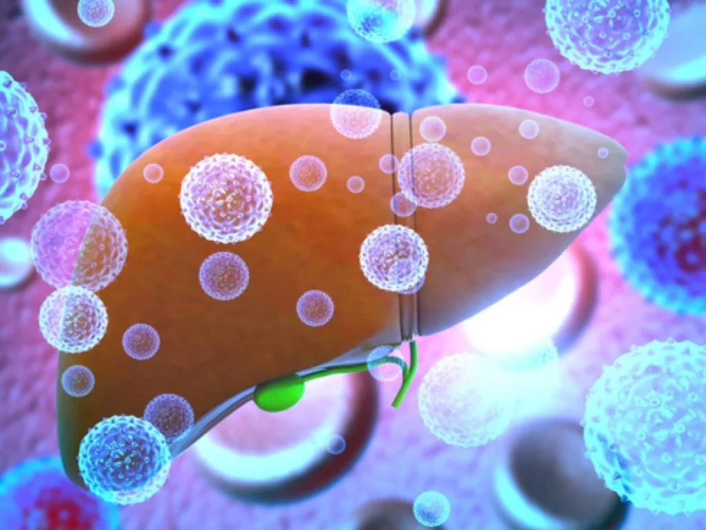 promethera-liver-failure-stem-cell-therapy-1200x900-1-1024x768 (1)