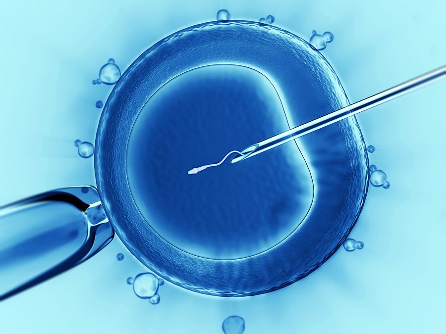 sperminjection_593716-900x675